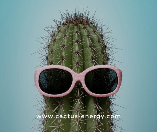 Cactus Energy