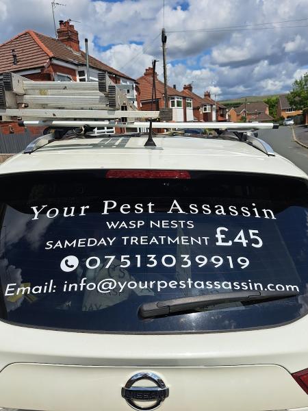 Your Pest Assassin