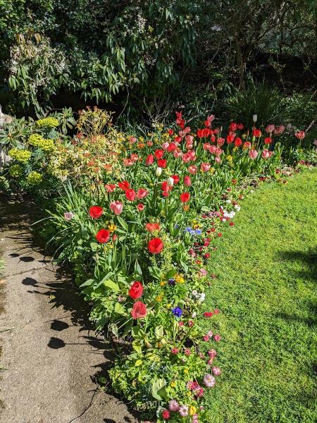 South Devon Garden & Landscape Services