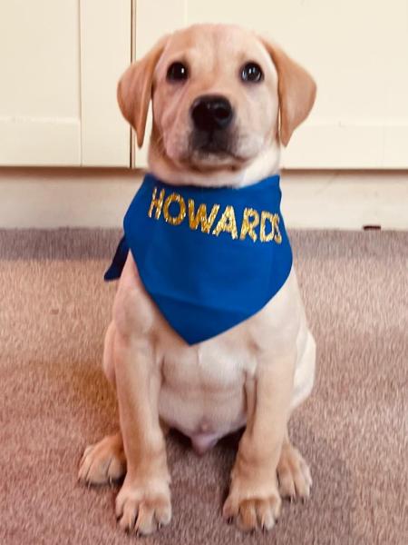 Howards Removals