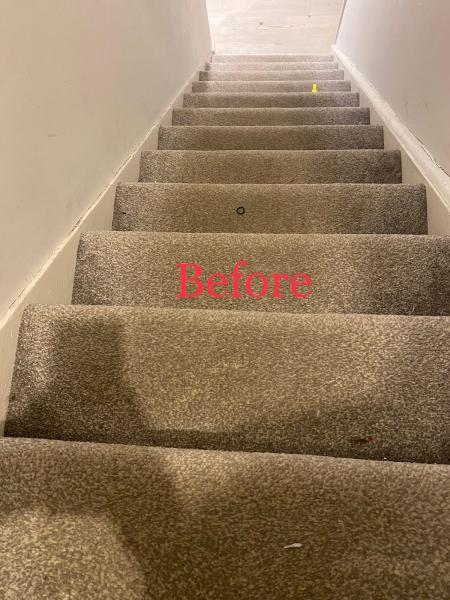 Mr Deep Carpet Cleaning & Upholstery LTD