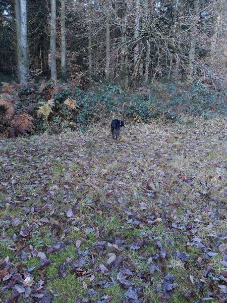 Covenhope Construction