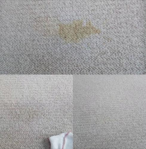 Celtic Carpet & Upholstery Cleaning