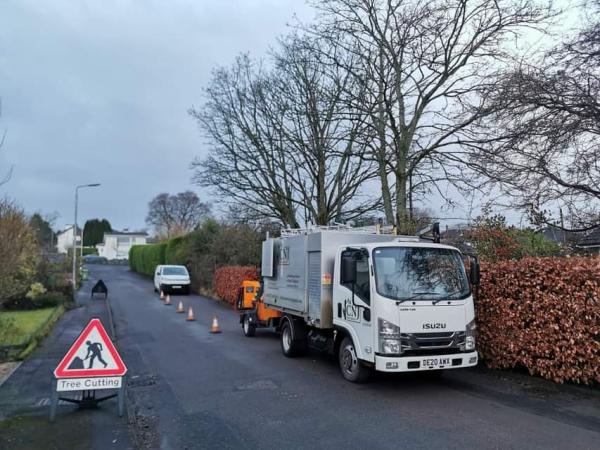 CNJ Tree Services