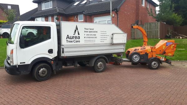 Aurea Tree Care