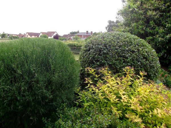 Mr and Mrs Hogbin Colchester Gardeners