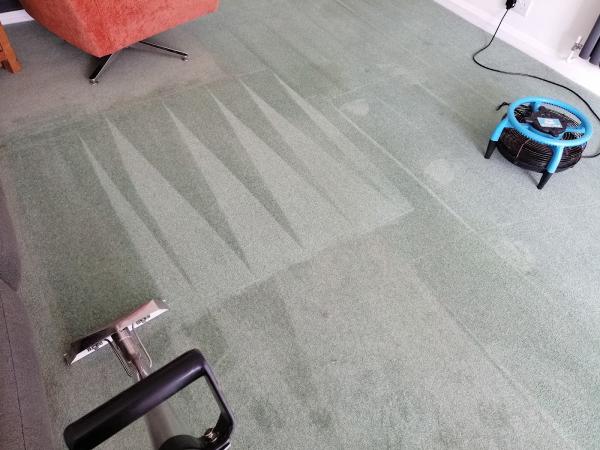 Torbay Carpet Cleaning