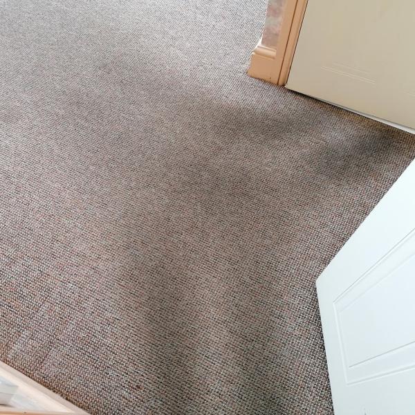 Torbay Carpet Cleaning