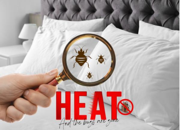 Heat and the Bugs Are Gone LTD