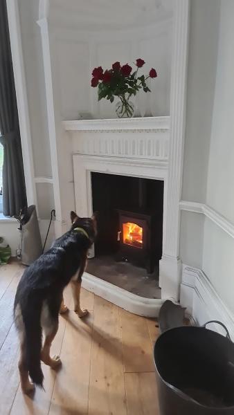 Surrey Fireplace and Stove Installation