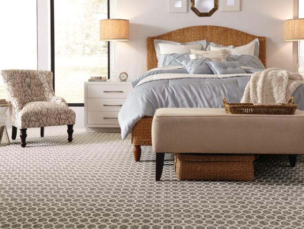 Carpet Cleaner Pro