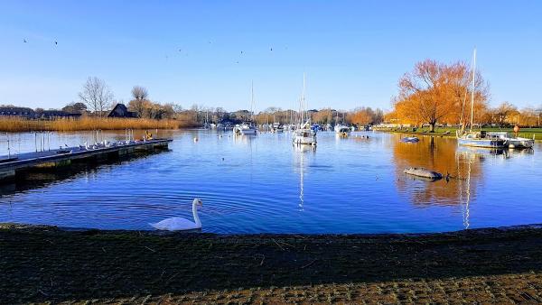 Slades Estate Agents Christchurch