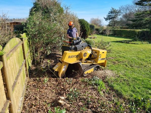 Keith Tait Tree Surgery