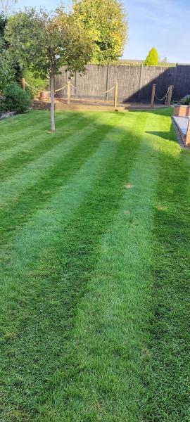 Horticulture Professional Lawncare