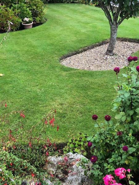 Total Lawn Care Bury (Tlc) Ltd