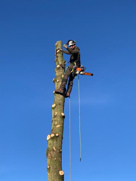 Turners Tree Services Ltd