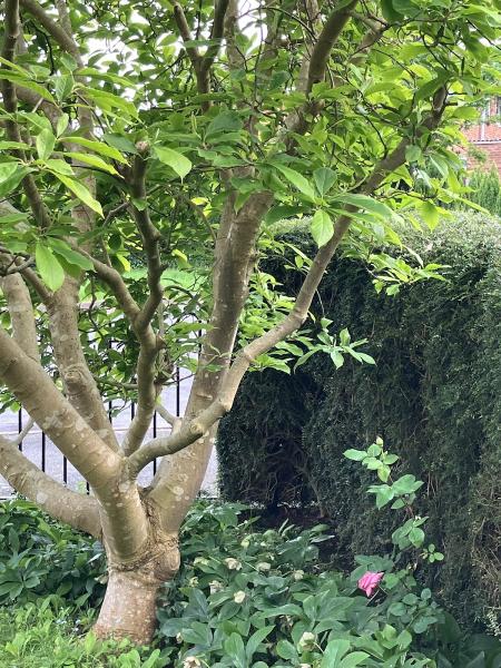 Jscapes Gardening and Landscaping Services