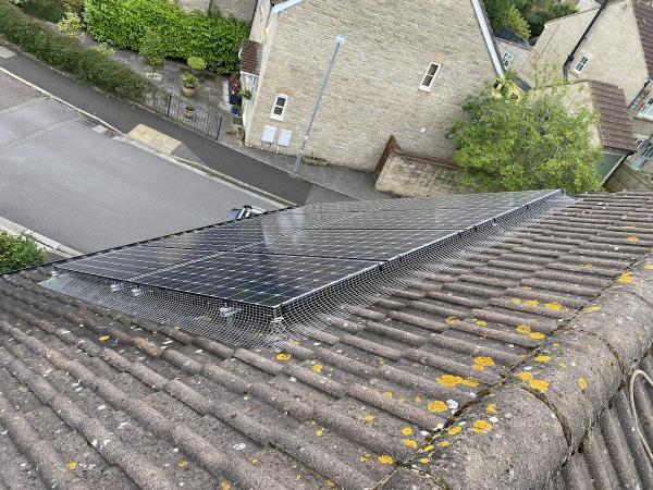 Pigeon Solar Panels