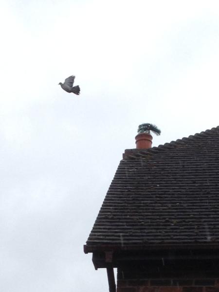 Marlborough Chimney Sweep