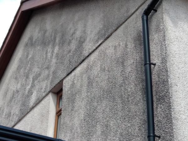 Swansea Softwash & Pressure Washing