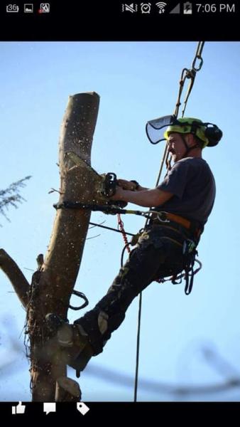 S G Tree Services