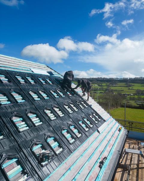 Trim Electrical Contractors Limited