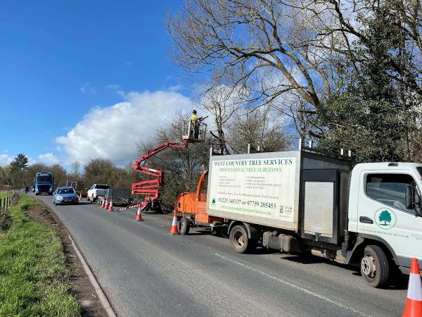 West Country Tree Services Ltd