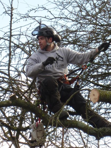 West Country Tree Services Ltd