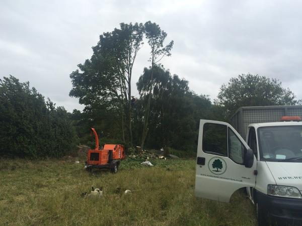 West Country Tree Services Ltd