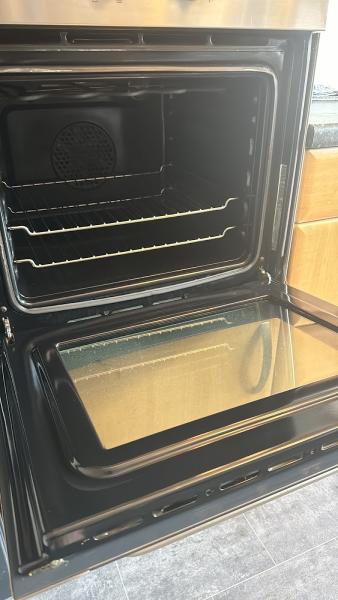 Sparkling Oven and Carpet Cleaning