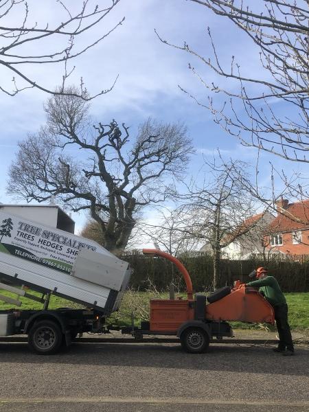 Biddle's Tree Services