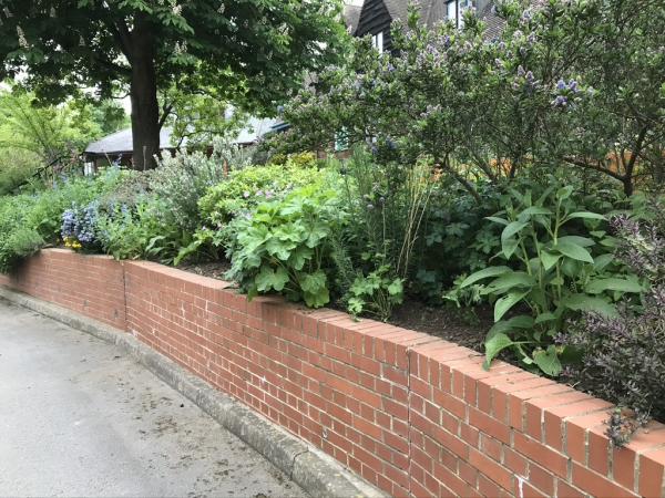 JLS Gardening Services