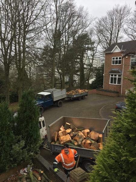 Ashbrooke Tree Services