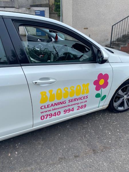 Blossom Cleaning