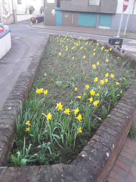 Robert Farnham & Associates Ltd