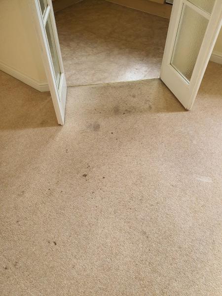 RP Cleaning Services