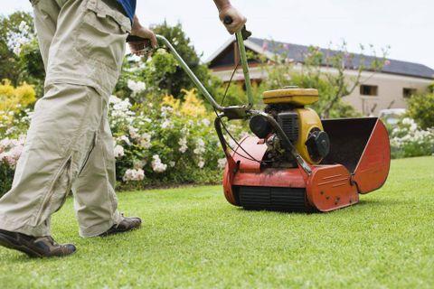 The Mobile Gardener