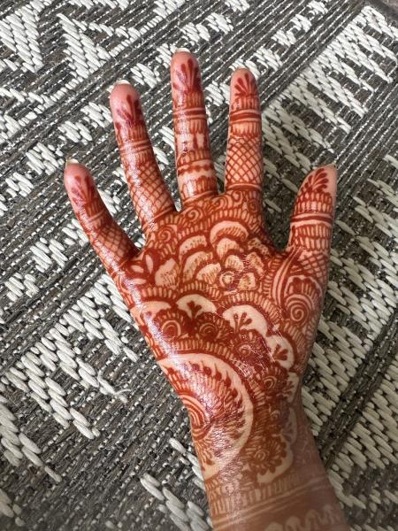 Anu Mehndi Artist