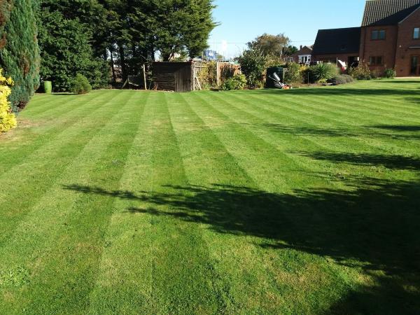 Kew Grass Care