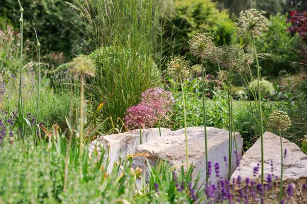 Jenny Noscoe Garden Design Ltd