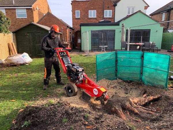 Broadleaf Midlands Tree Care