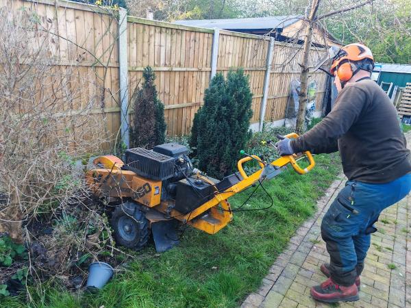 SML Tree & Hedge Services