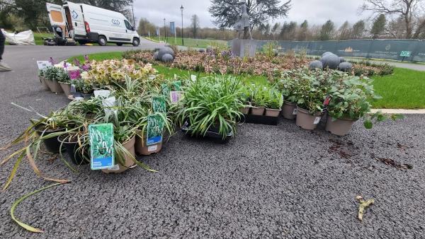 PEC Grounds Maintenance