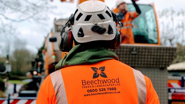 Beechwood Trees & Landscapes Ltd