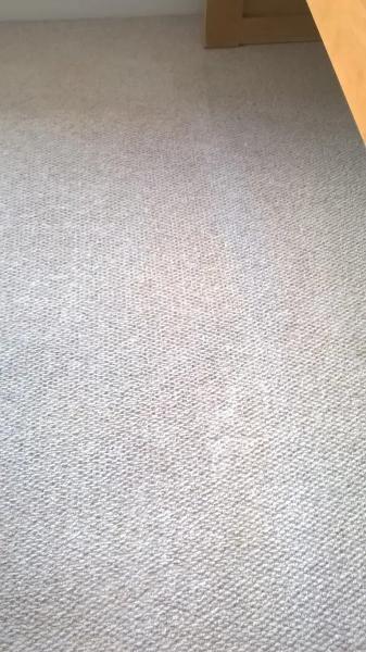 AB Homekleen Carpet Cleaning Newcastle