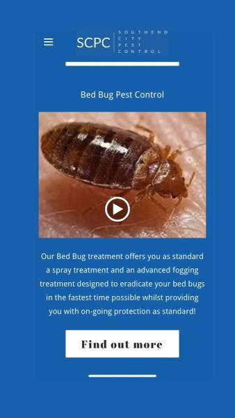 Southend City Pest Control Ltd