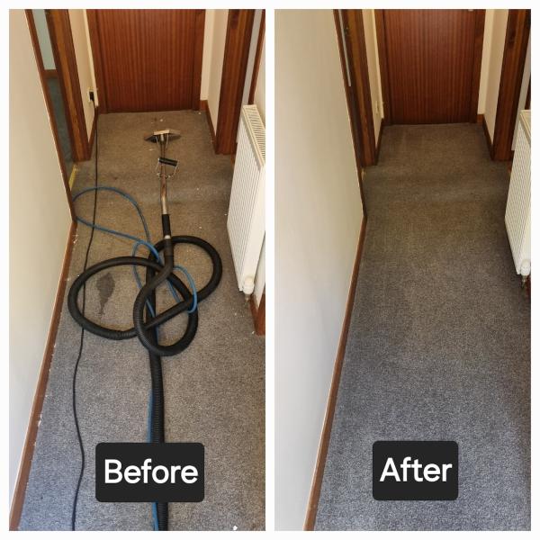 Impact Carpet Cleaning and Upholstery Cleaning