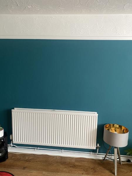Painter Decorator A Fresh Coat
