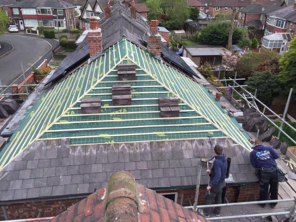 Rapid Roofing