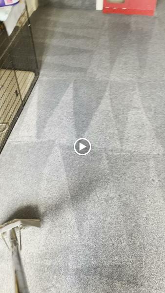 Spritz Carpet & Upholstery Cleaning